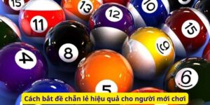 Cách bắt đề chẵn lẻ hiệu quả cho người mới chơi