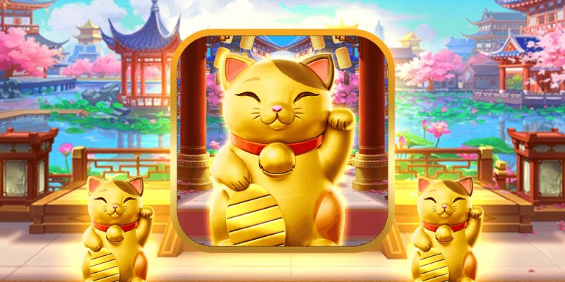 Lucky Neko Tại Bongvip - Mèo Thần Tài Mang Lại May Mắn Lớn