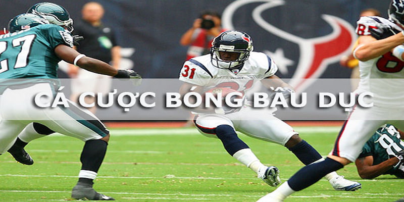 Kèo Bóng Bầu Dục NFL bongvip